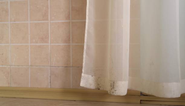 Best Environmental Consulting for Mold Prevention  in Matheny, CA