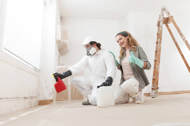  Matheny, CA Mold Removal Pros