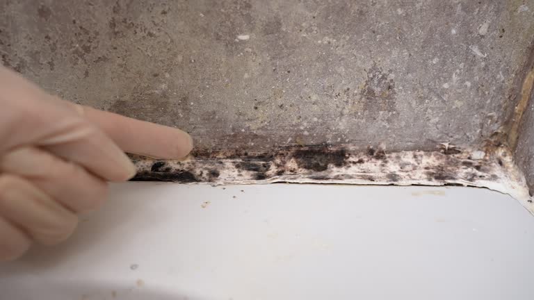 Best Residential Mold Inspection & Testing  in Matheny, CA